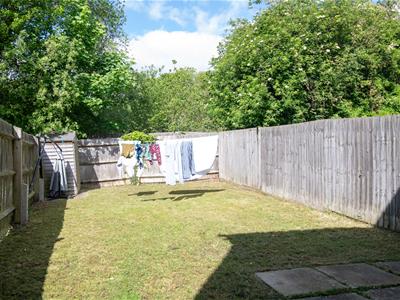 Picture 20